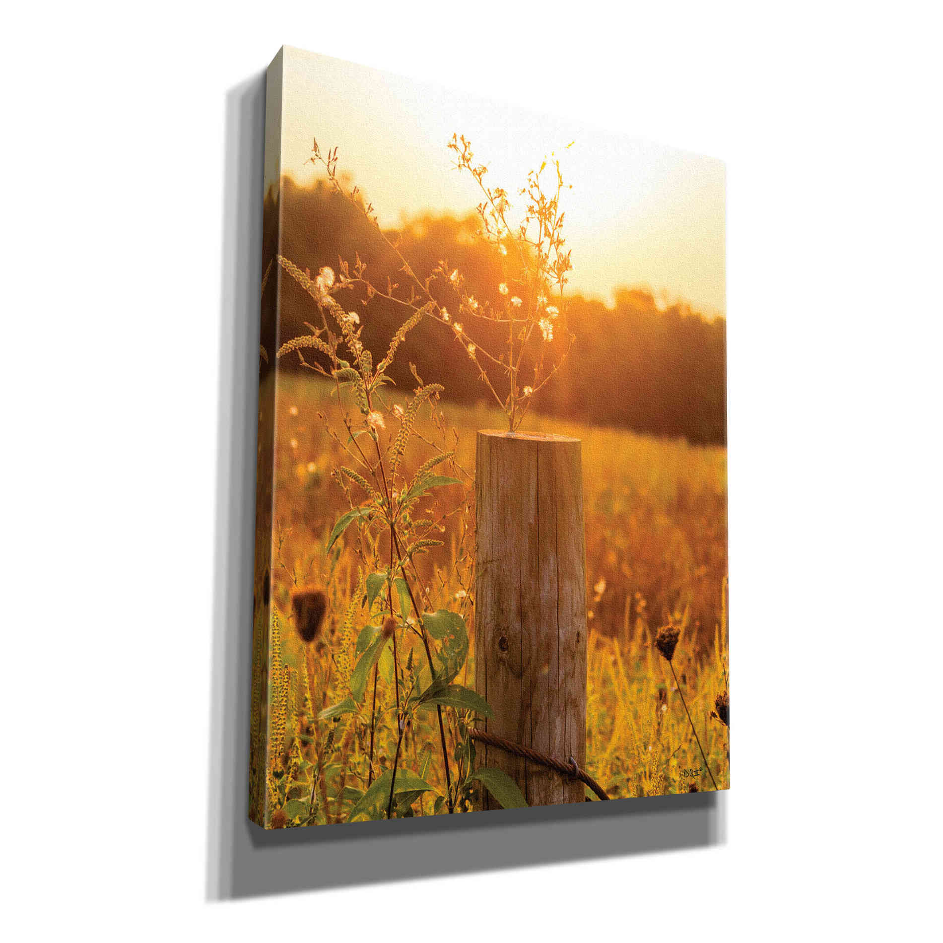 'Post' by Donnie Quillen Canvas Wall Art