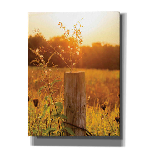 Image of 'Post' by Donnie Quillen Canvas Wall Art