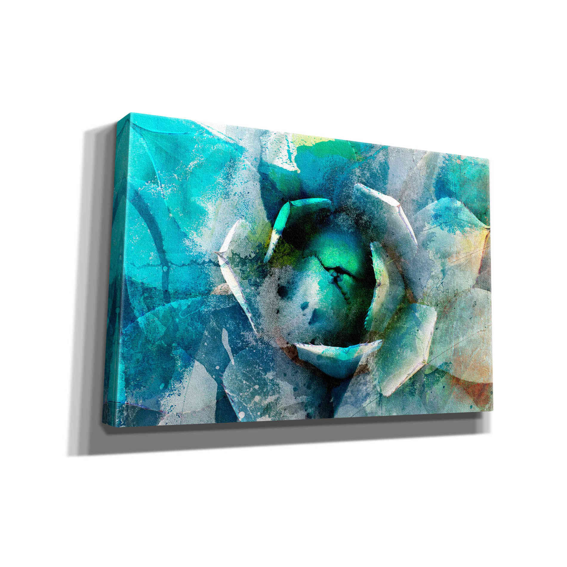 'Agave Abstract I' by Sisa Jasper Canvas Wall Art