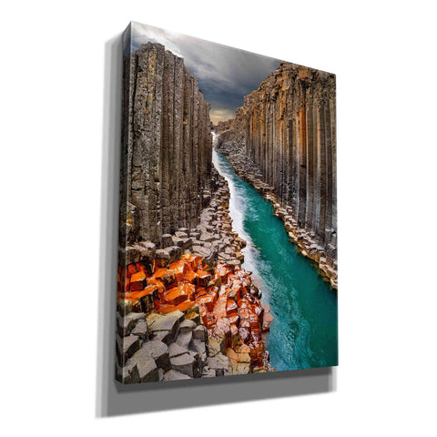 Image of 'Divided' Canvas Wall Art