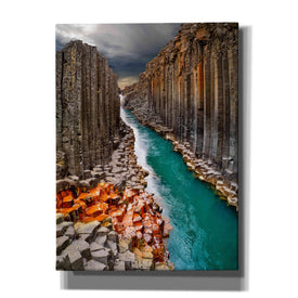 'Divided' Canvas Wall Art