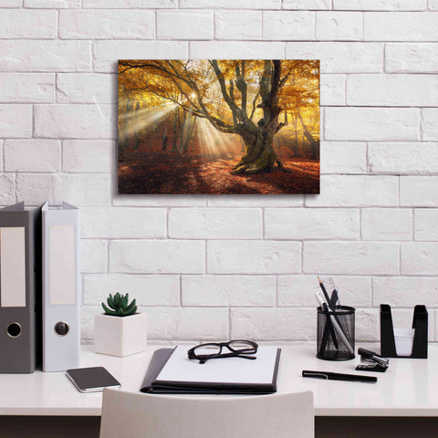 Image of 'Enchanted Forest' Canvas Wall Art,18 x 12
