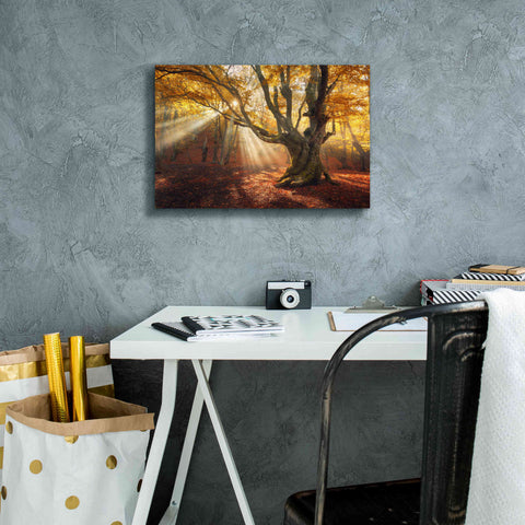 Image of 'Enchanted Forest' Canvas Wall Art,18 x 12