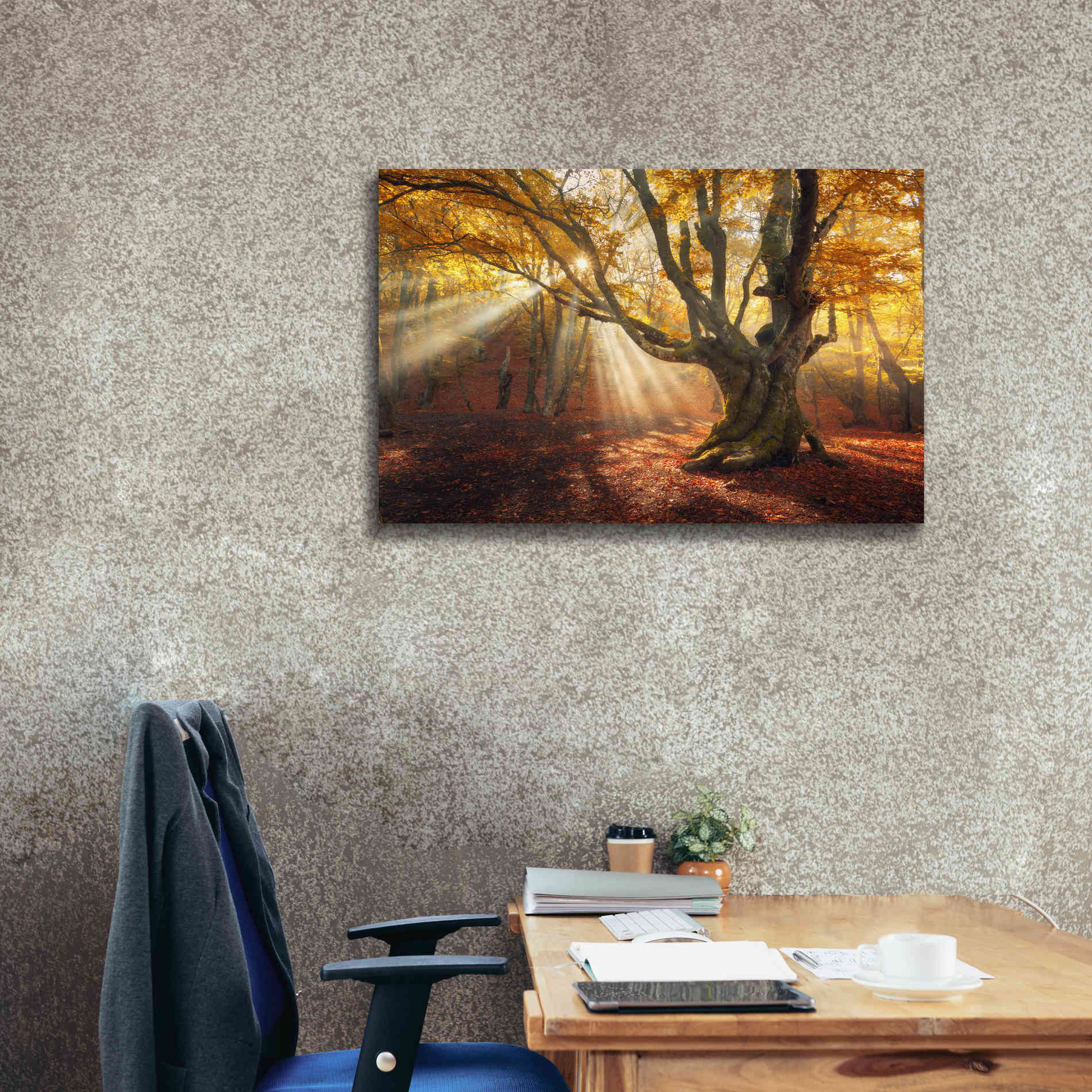 'Enchanted Forest' Canvas Wall Art,40 x 26