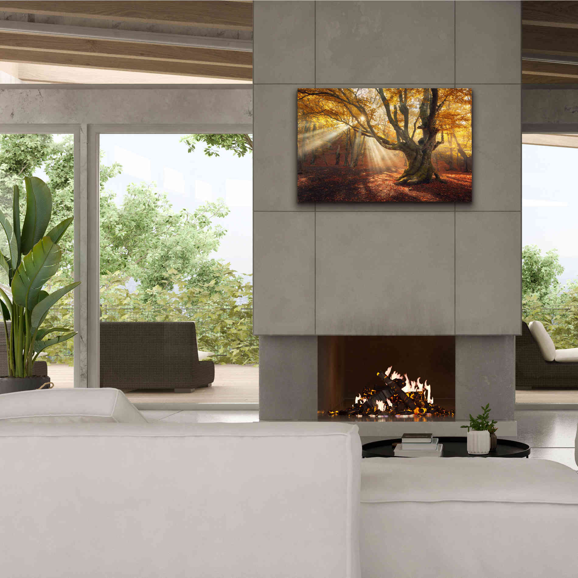 'Enchanted Forest' Canvas Wall Art,40 x 26