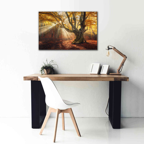 Image of 'Enchanted Forest' Canvas Wall Art,40 x 26