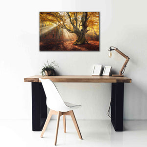 'Enchanted Forest' Canvas Wall Art,40 x 26