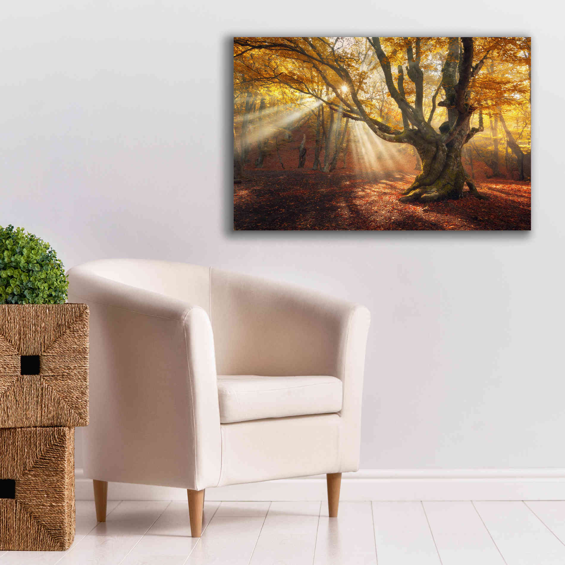 'Enchanted Forest' Canvas Wall Art,40 x 26