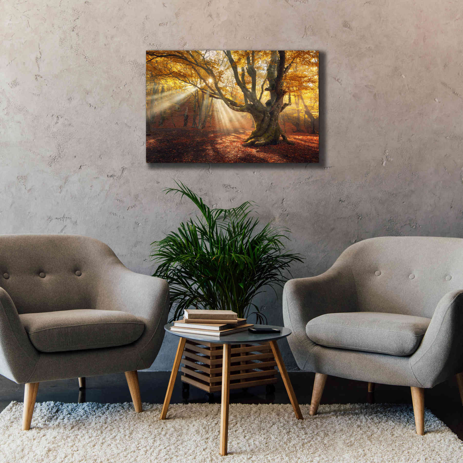 'Enchanted Forest' Canvas Wall Art,40 x 26