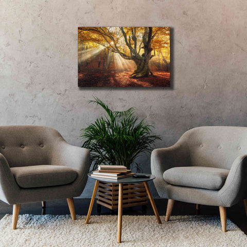 Image of 'Enchanted Forest' Canvas Wall Art,40 x 26