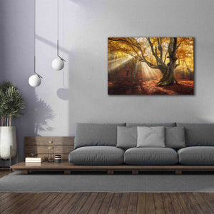 'Enchanted Forest' Canvas Wall Art,60 x 40