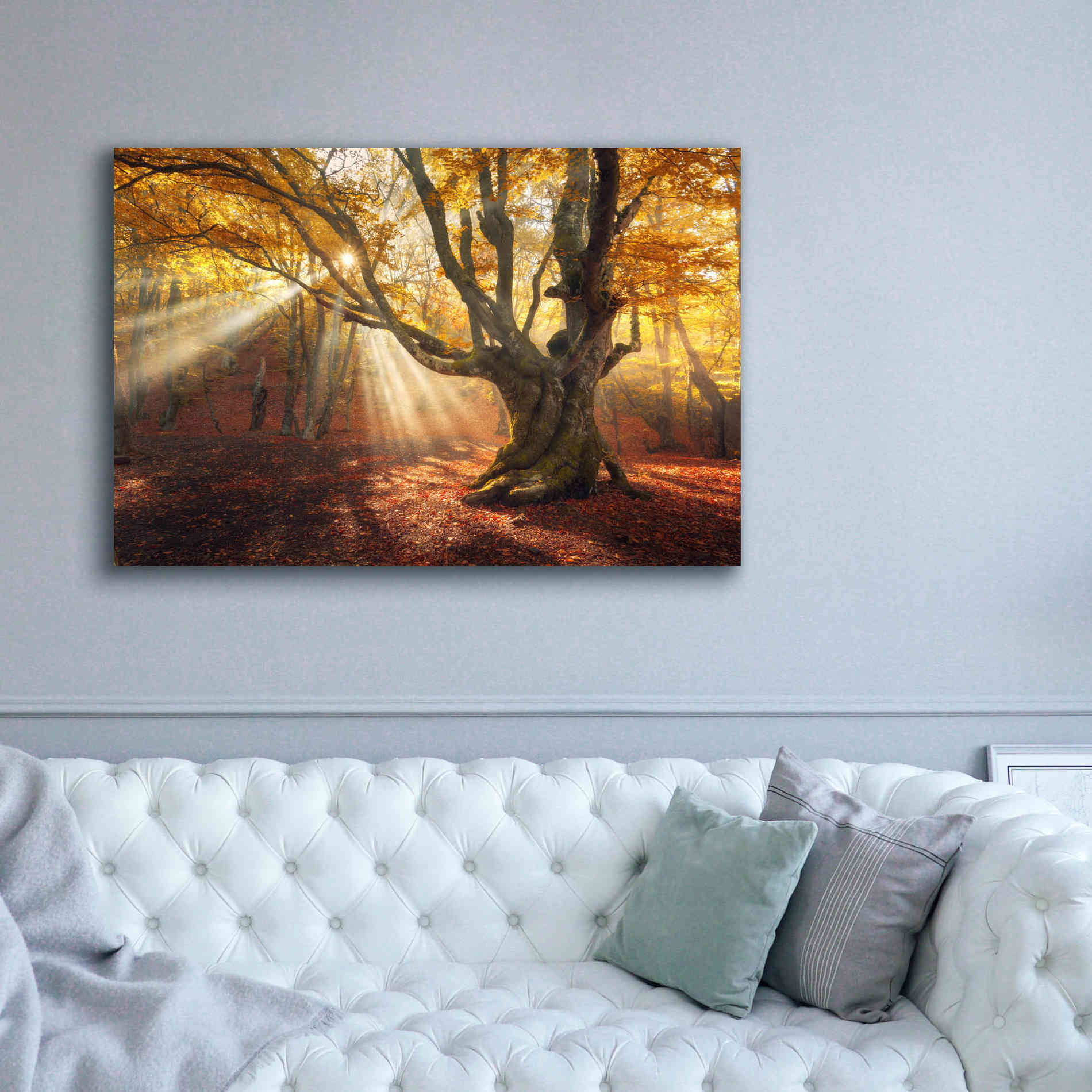 'Enchanted Forest' Canvas Wall Art,60 x 40