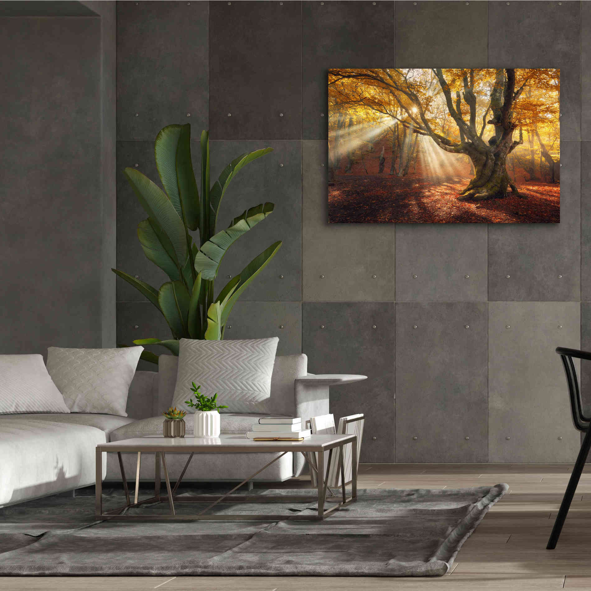 'Enchanted Forest' Canvas Wall Art,60 x 40