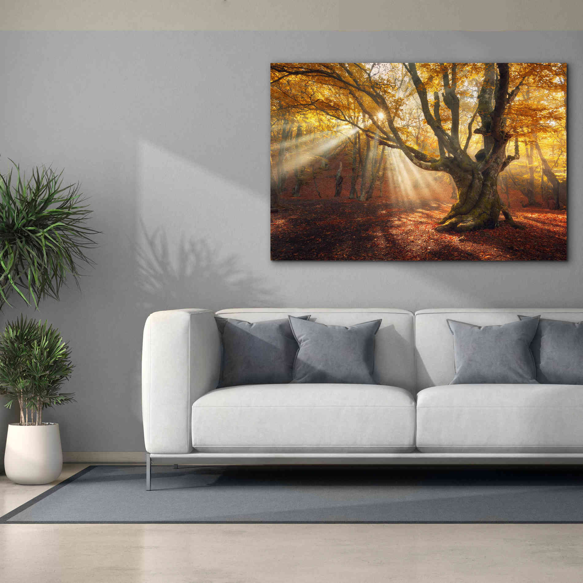'Enchanted Forest' Canvas Wall Art,60 x 40