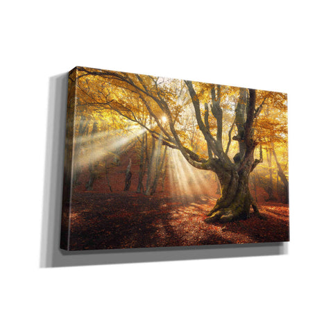 Image of 'Enchanted Forest' Canvas Wall Art