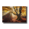 'Enchanted Forest' Canvas Wall Art