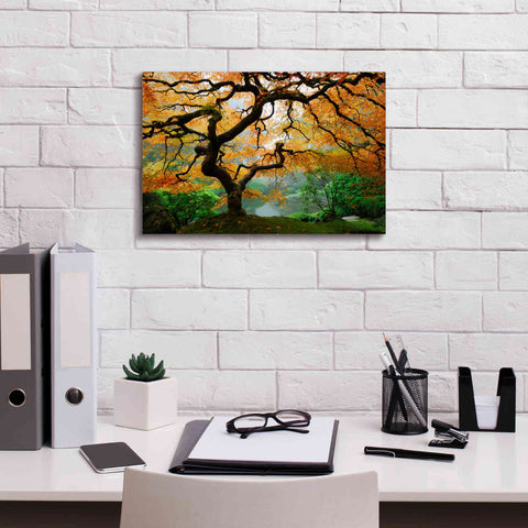 Image of 'Magical Autumn' Canvas Wall Art,18 x 12