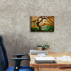 'Magical Autumn' Canvas Wall Art,18 x 12