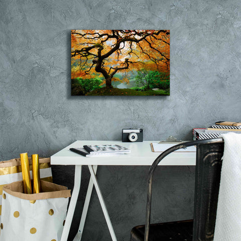 Image of 'Magical Autumn' Canvas Wall Art,18 x 12
