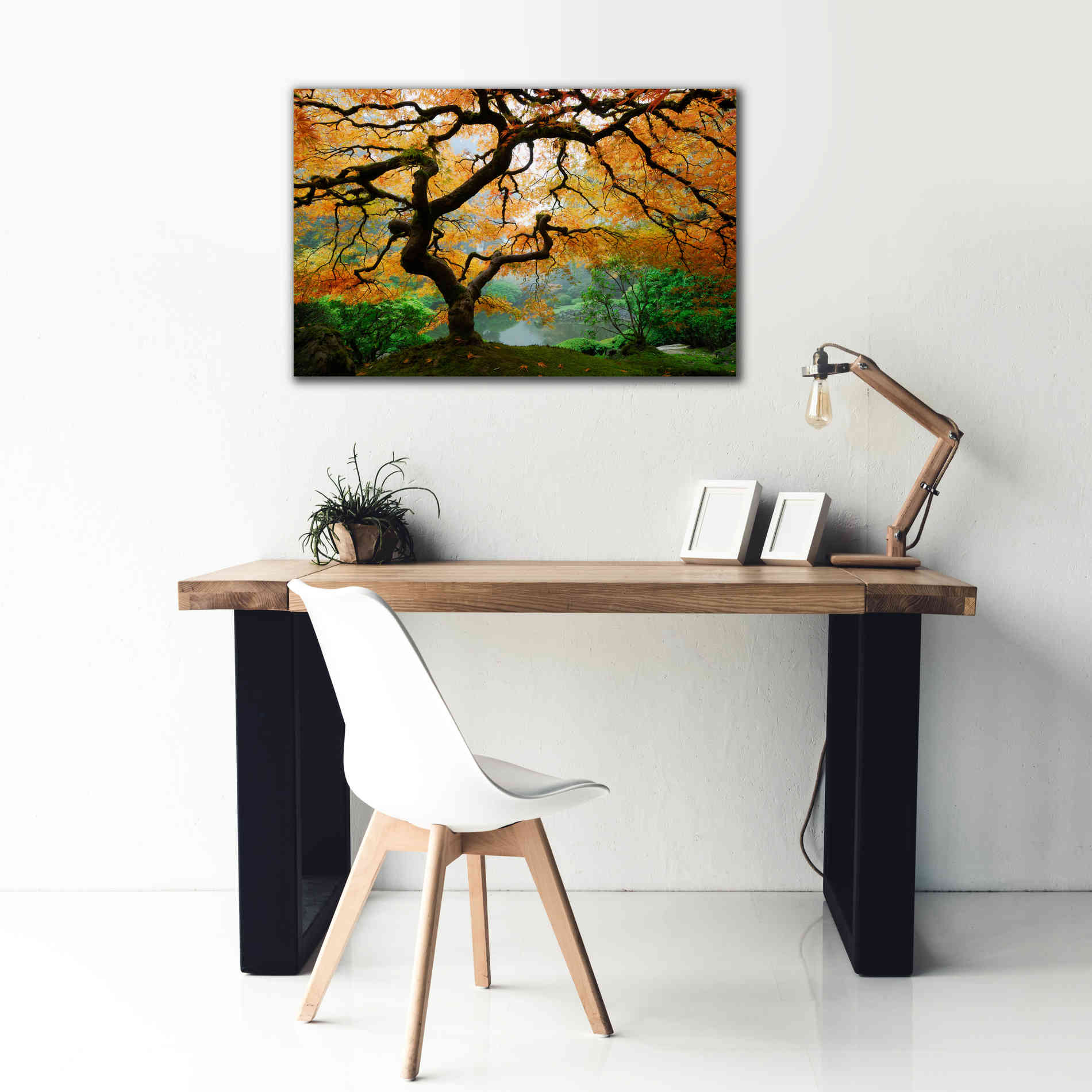 'Magical Autumn' Canvas Wall Art,40 x 26