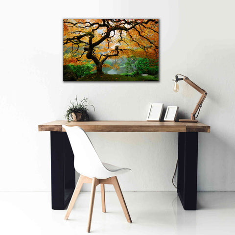 Image of 'Magical Autumn' Canvas Wall Art,40 x 26
