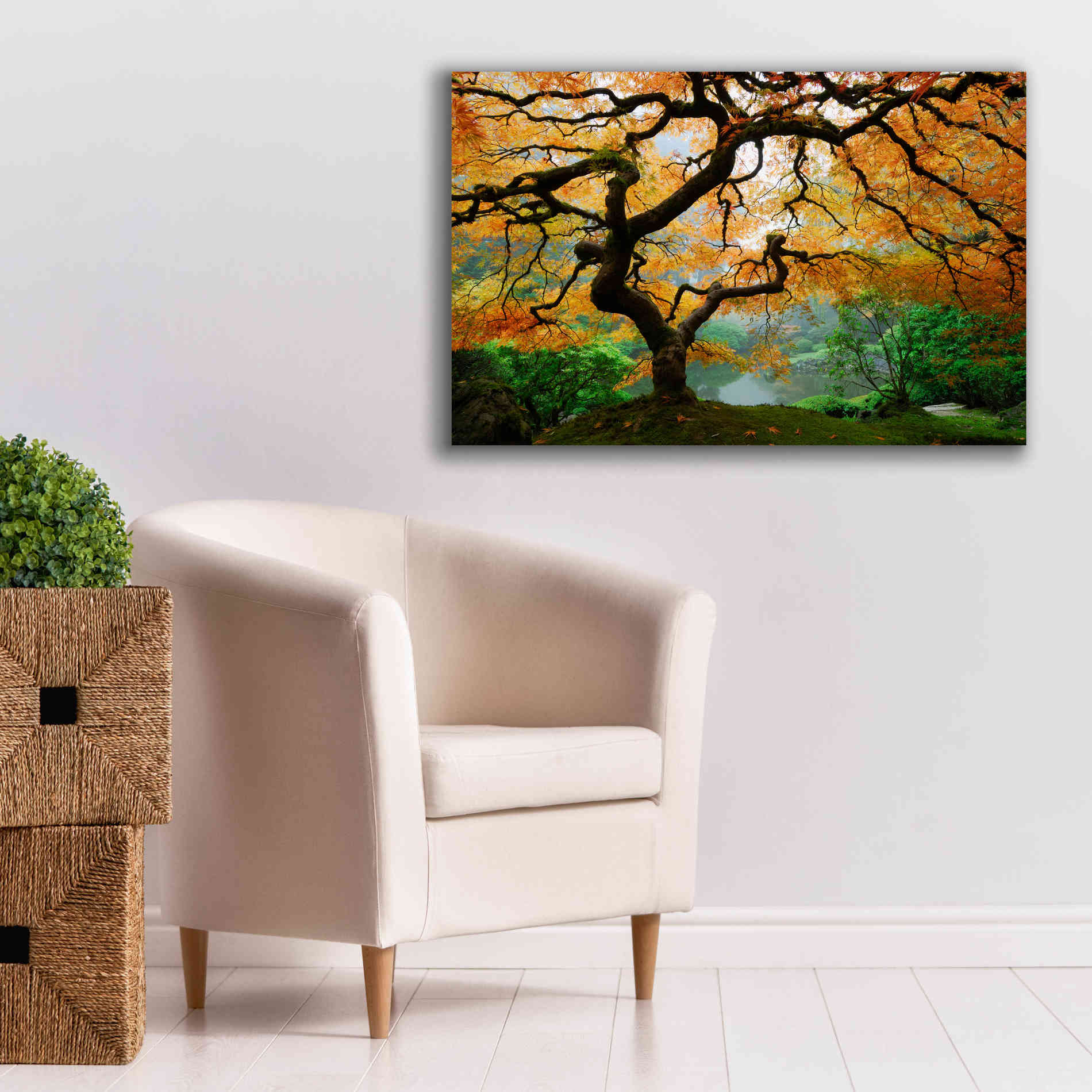 'Magical Autumn' Canvas Wall Art,40 x 26