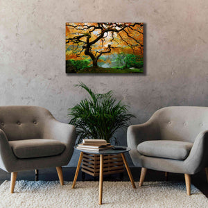 'Magical Autumn' Canvas Wall Art,40 x 26