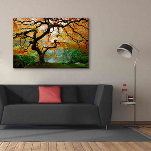 'Magical Autumn' Canvas Wall Art,60 x 40