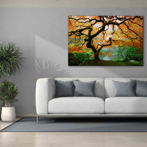 'Magical Autumn' Canvas Wall Art,60 x 40
