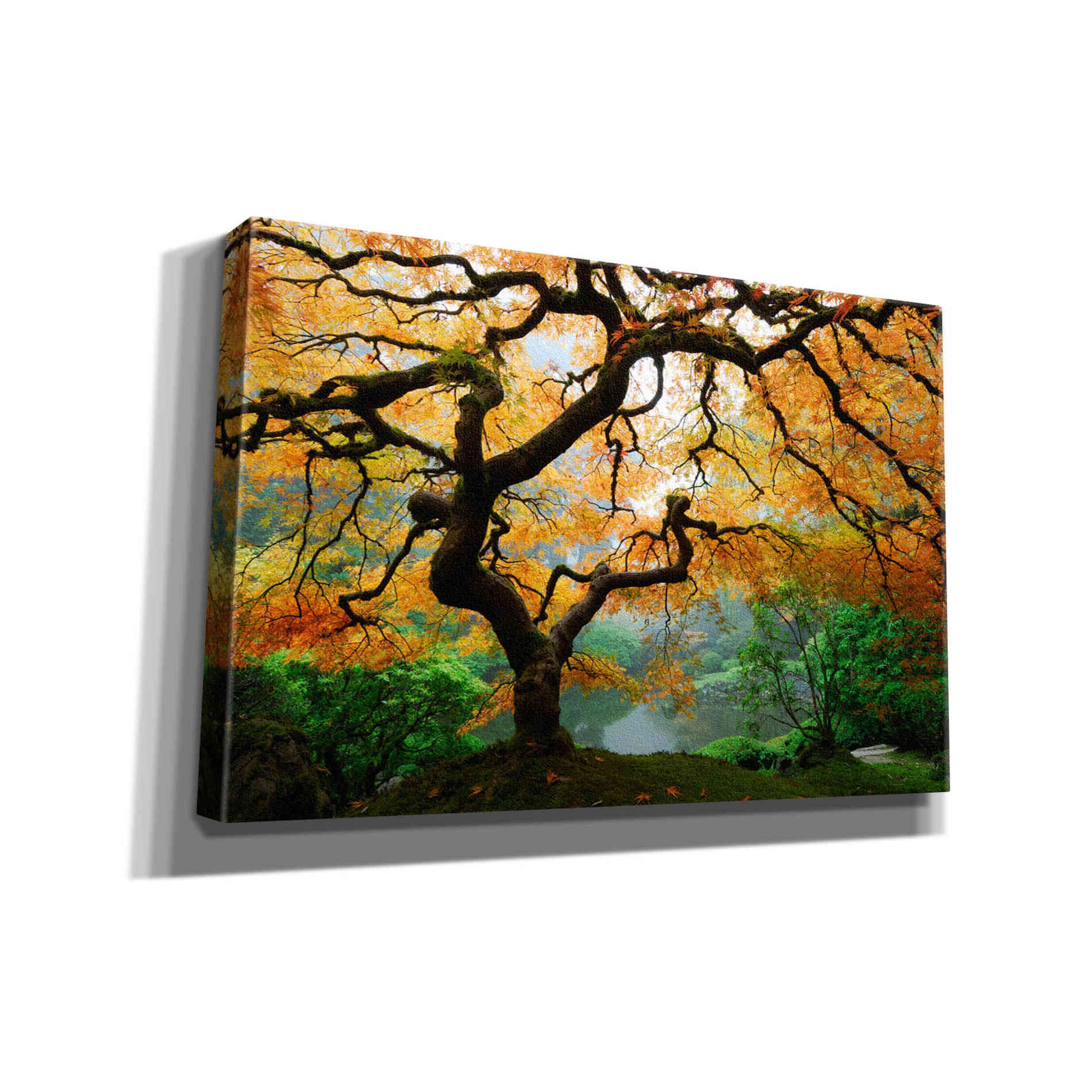 'Magical Autumn' Canvas Wall Art