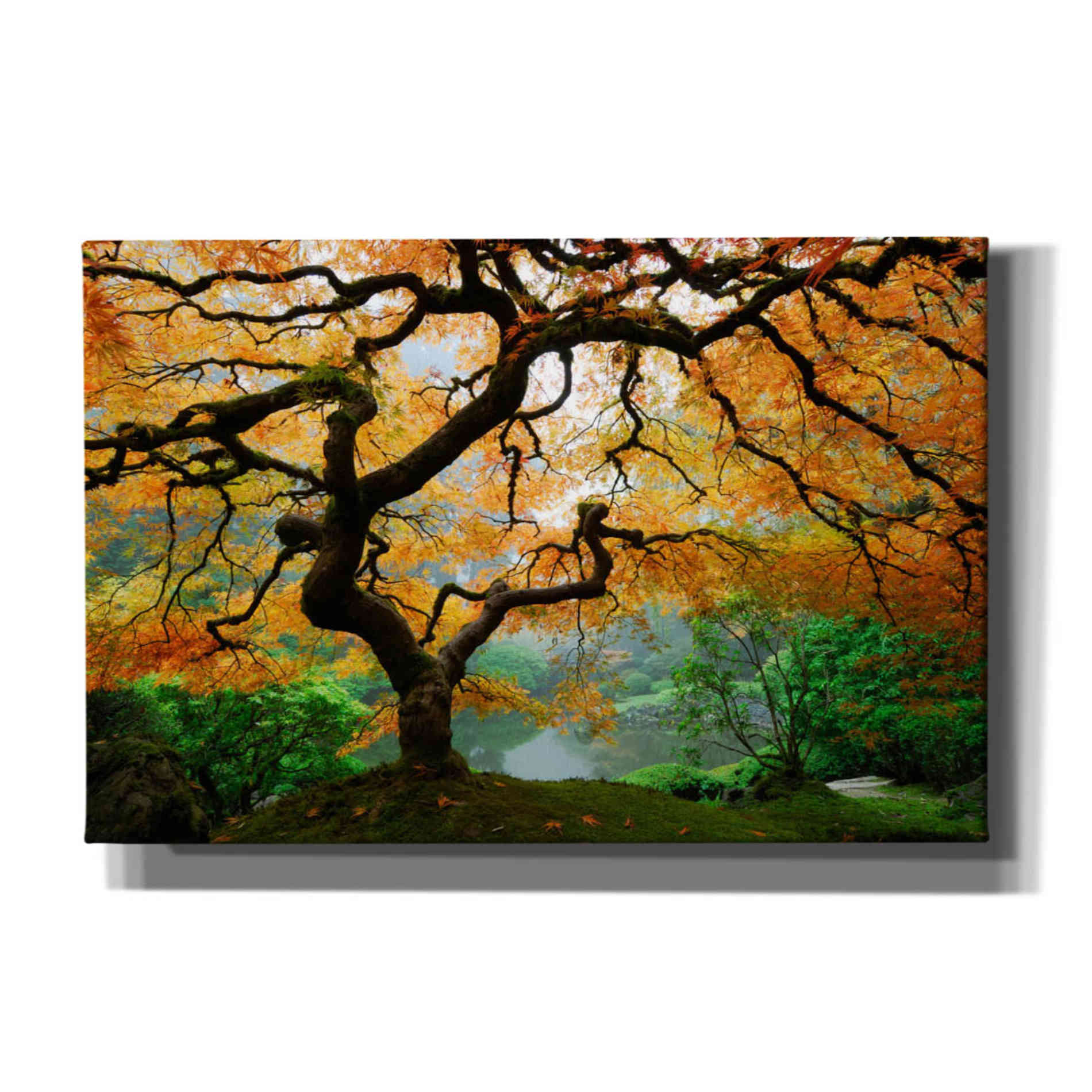 'Magical Autumn' Canvas Wall Art