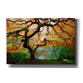 'Magical Autumn' Canvas Wall Art