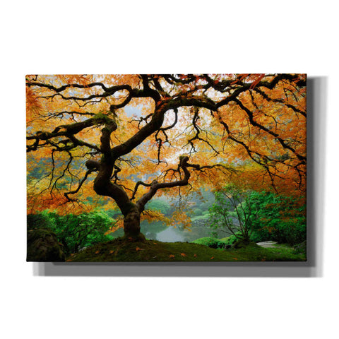 Image of 'Magical Autumn' Canvas Wall Art