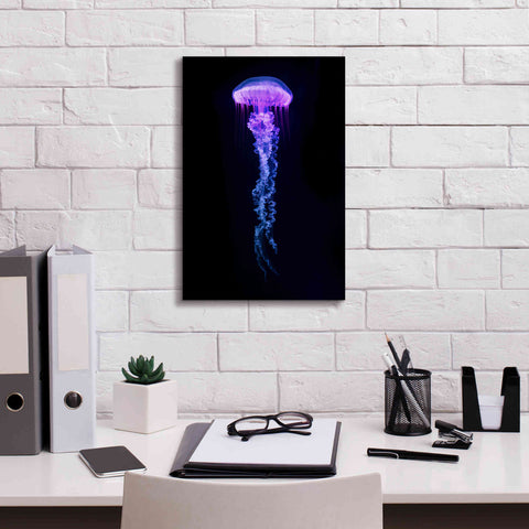 Image of 'Medusa' Canvas Wall Art,12 x 18