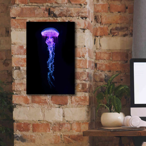 Image of 'Medusa' Canvas Wall Art,12 x 18