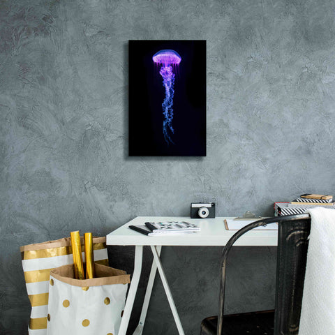 Image of 'Medusa' Canvas Wall Art,12 x 18