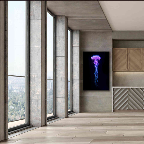 Image of 'Medusa' Canvas Wall Art,40 x 60