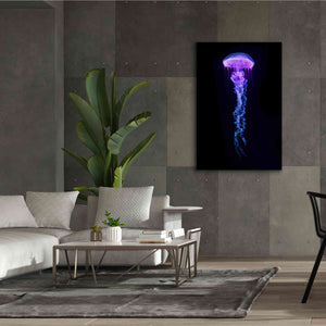 'Medusa' Canvas Wall Art,40 x 60