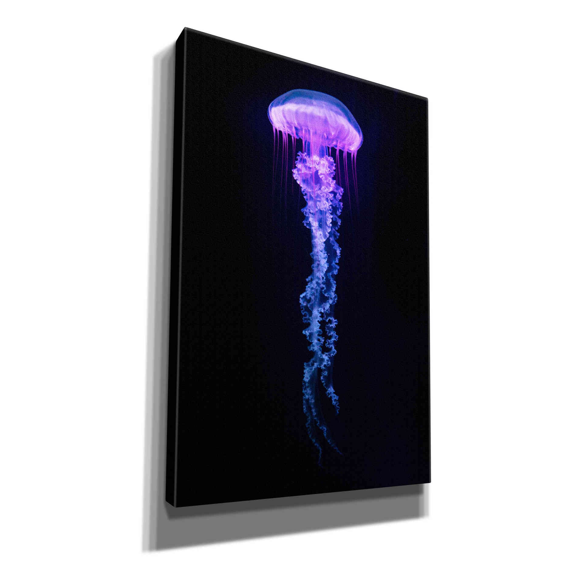 'Medusa' Canvas Wall Art