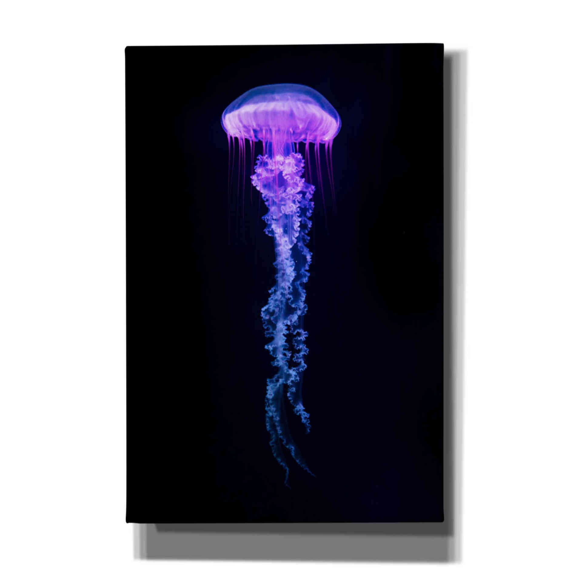 'Medusa' Canvas Wall Art