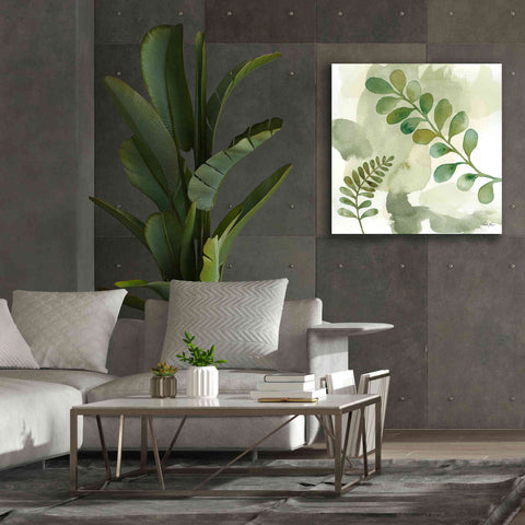 Image of 'Woodland Walk III' by Laura Horn, Canvas Wall Art,37 x 37