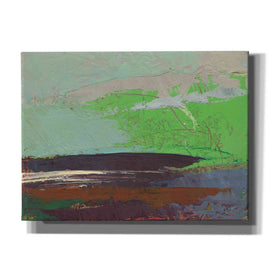 'Ceide Study XIII' by Grainne Dowling, Canvas Wall Art