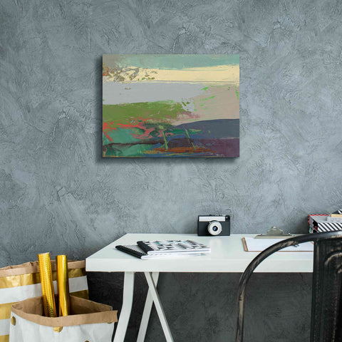 Image of 'Ceide Study XIV' by Grainne Dowling, Canvas Wall Art,16 x 12