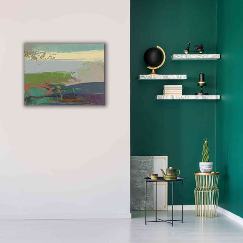 Image of 'Ceide Study XIV' by Grainne Dowling, Canvas Wall Art,34 x 26