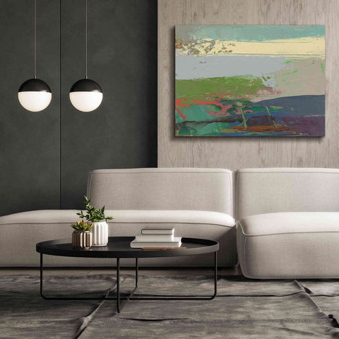 Image of 'Ceide Study XIV' by Grainne Dowling, Canvas Wall Art,54 x 40