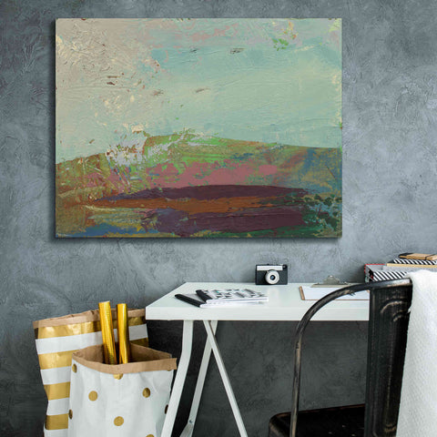 Image of 'Ceide Study XV' by Grainne Dowling, Canvas Wall Art,34 x 26