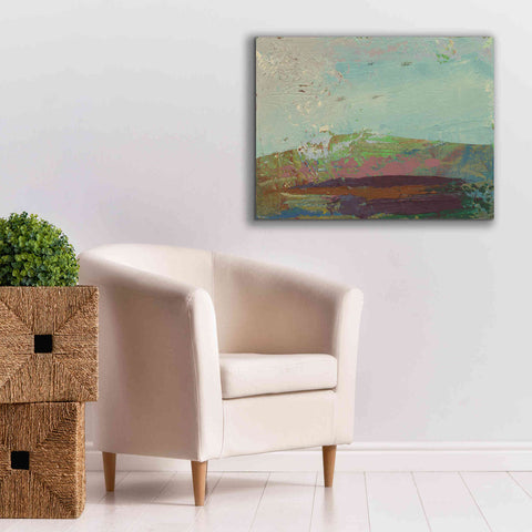 Image of 'Ceide Study XV' by Grainne Dowling, Canvas Wall Art,34 x 26