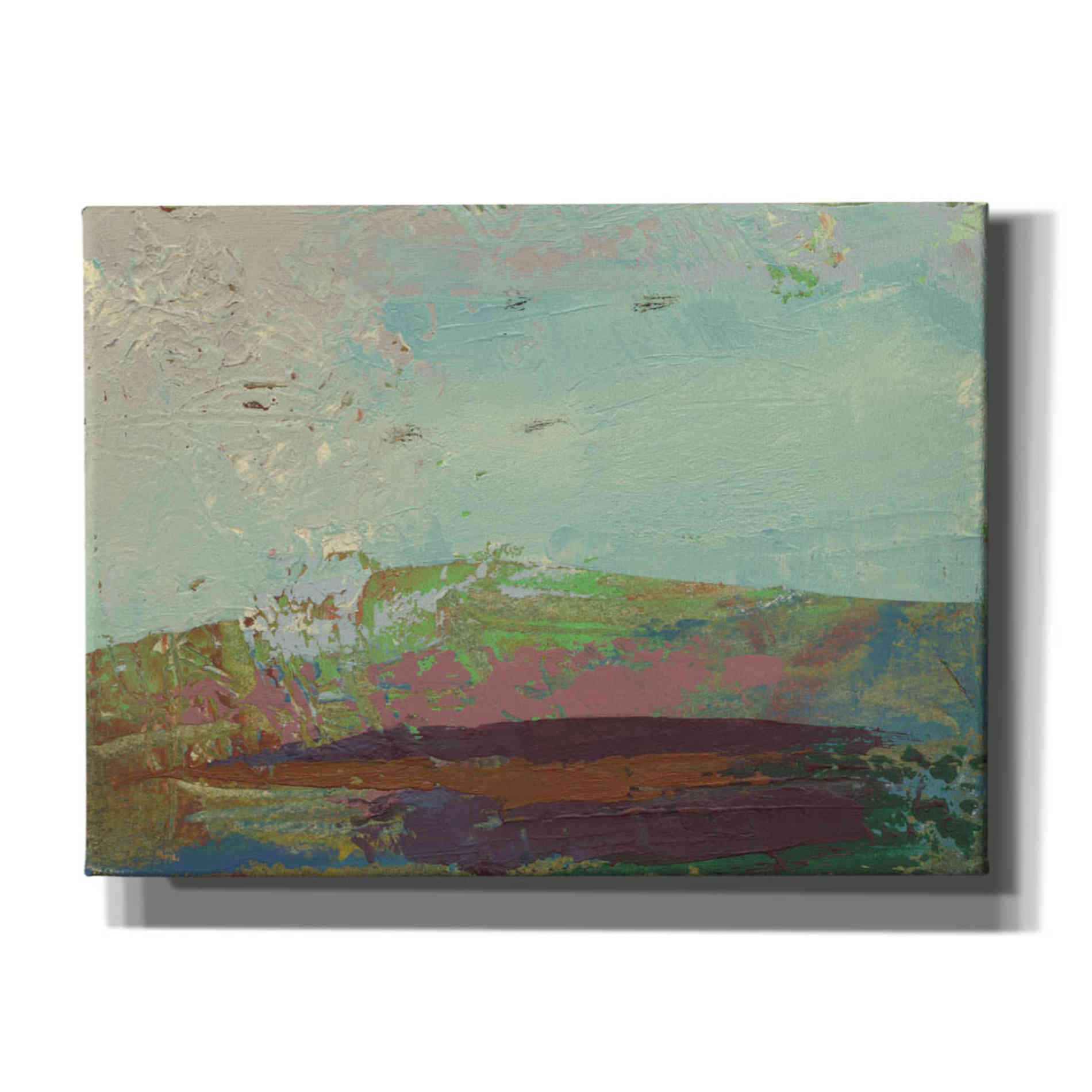 'Ceide Study XV' by Grainne Dowling, Canvas Wall Art