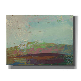 'Ceide Study XV' by Grainne Dowling, Canvas Wall Art