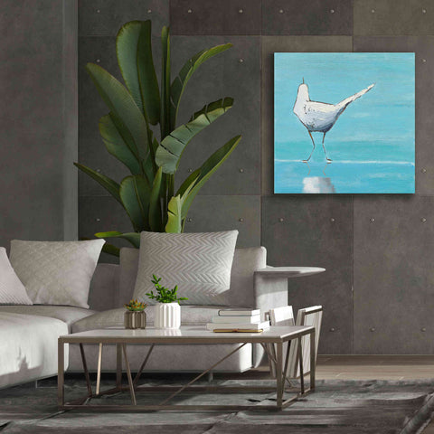 Image of 'Egret II' by Phyllis Adams, Canvas Wall Art,37 x 37